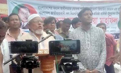 মেহেরপুর-২ আসনে আওয়ামী লীগ হারে নিজের ভুলে